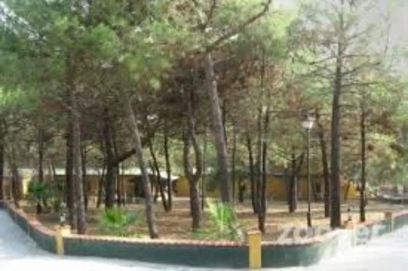 Ciudad Del Cine Hotel Coin